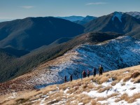 Going back down (Walk up Mt Arthur July 2021)