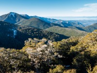 Nice view (Walk up Mt Arthur July 2021)