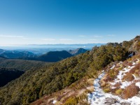 Nice weather (Walk up Mt Arthur July 2021)