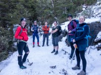 On a snowy track (Walk up Mt Arthur July 2021)