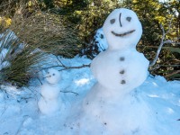 Snow people (Walk up Mt Arthur July 2021)