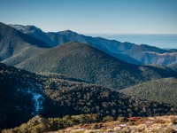 View (Walk up Mt Arthur July 2021)