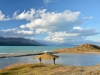 Simon and William beside lake Pukaki (Mueller Hut Jan 2014)
