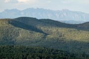 Montserat (Muntanyes de Prades May 2022)