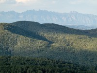 Montserat (Muntanyes de Prades May 2022)