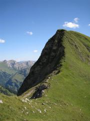 Green grass (Nebelhorn Klettersteig, Germany)