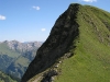 Green grass (Nebelhorn Klettersteig, Germany)