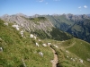 Track (Nebelhorn Klettersteig, Germany)