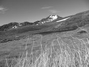 B and W (Lewis Pass Tops)