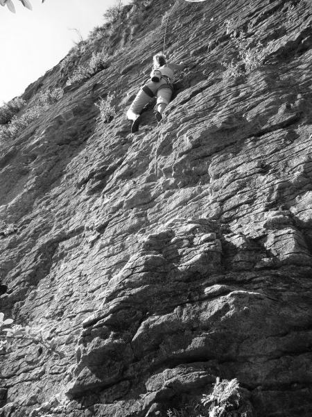 Frauke climbing at the sea cliffs (Golden Bay)