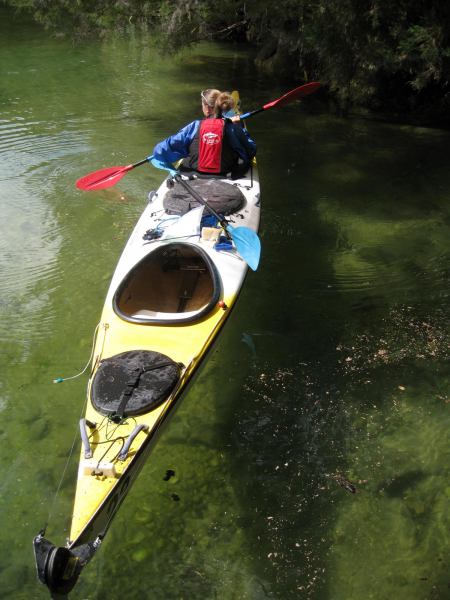 Frauke in kayak (Abel Tasman)