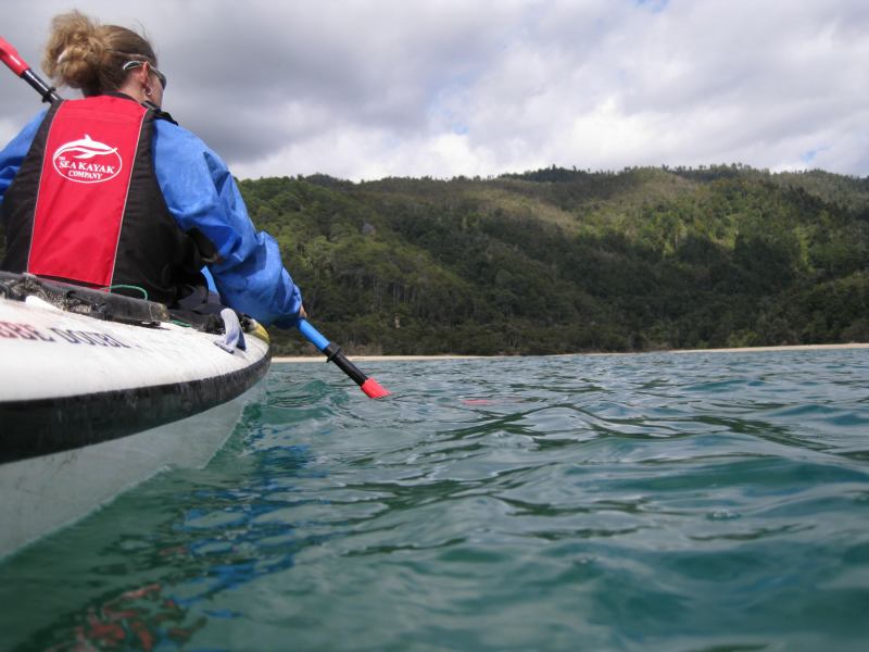 Kayaking (Abel Tasman NP)