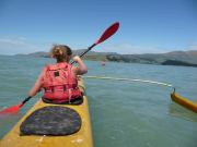 Kayaking to Quail Island (Lyttelton Harbour, Christchurch)
