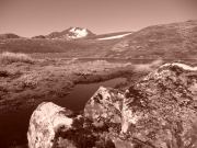 Sepia goodness (Lewis Pass Tops)