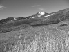 B and W (Lewis Pass Tops)