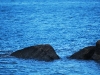 Blue water (Abel Tasman NP)