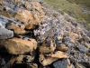 Cool orange rocks (Lewis Pass Tops)