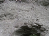 Frauke climbing at Albert Tce (Christchurch)