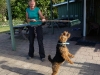 Frauke teasing the doggy (Motueka)