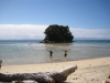 Run away (Abel Tasman NP)