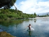 Swimming (Paynes Ford Swimming Hole)