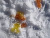 Terrible skiing accident (Ski touring Glomfjord, Norway)
