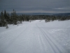 View back down towards Trondheim Fiord (Trondheim, Norway)