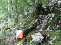 Control 72 (OO.cup, Slovenia)