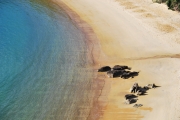 496 (Seakayaking Abel Tasman)