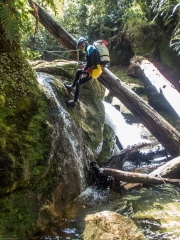Craig lowering himself down (Canyoning Waterfall Creek)