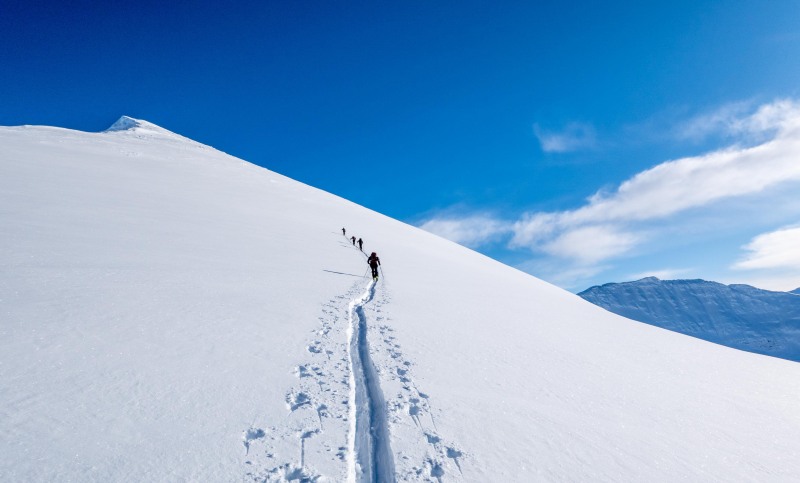 Four towards the summit (Day 2, Sørfjelltinden, Ski Touring Lyngen 2023)