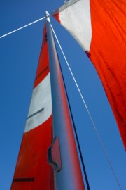 Looking up at the sails (Golden Bay Dec 2014)