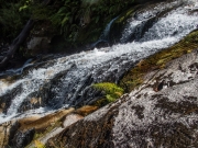 Nice water (Canyoning Waterfall Creek)