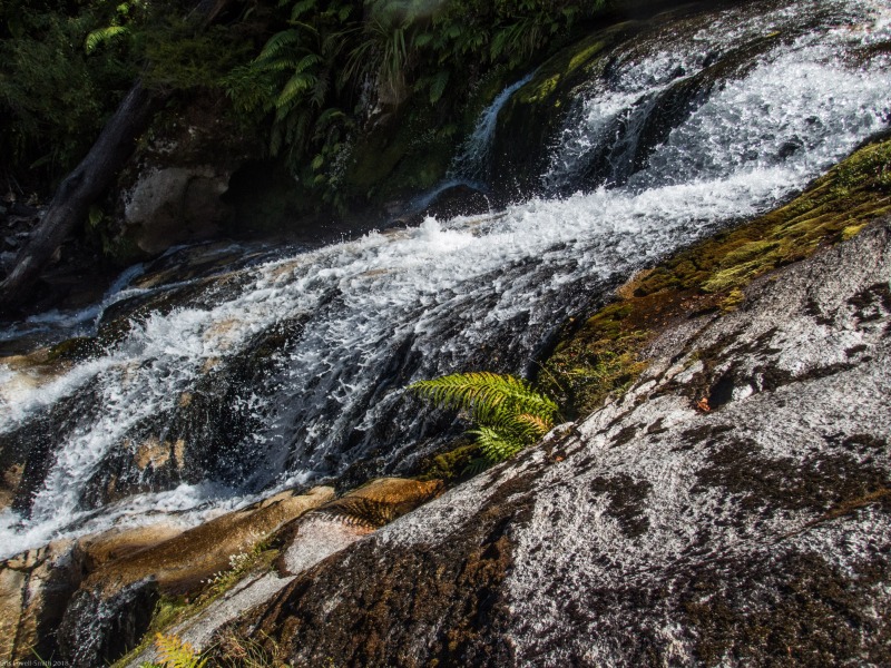 Nice water (Canyoning Waterfall Creek)