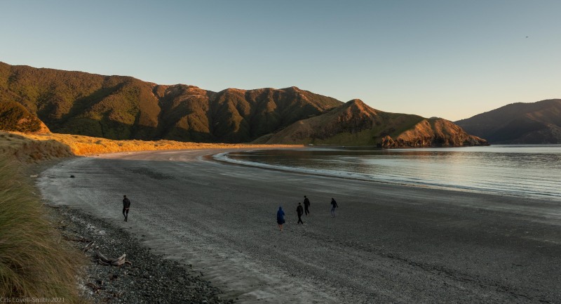 On the beach (D’Urville Island Bike Packing Feb 2021)