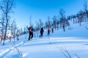 Skinning up through the trees (Day 2, Sørfjelltinden, Ski Touring Lyngen 2023)