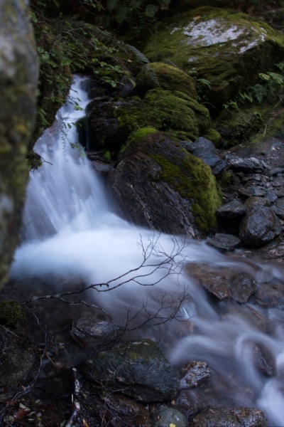 Flowing stream (Rabbit Pass Tramp Dec 2014)