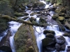 Flowing river 2 (Rabbit Pass Tramp Dec 2014)