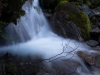 Flowing stream 2 (Rabbit Pass Tramp Dec 2014)