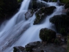 Flowing stream 3 (Rabbit Pass Tramp Dec 2014)