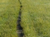 Walking through the grass (Rabbit Pass Tramp Dec 2014)