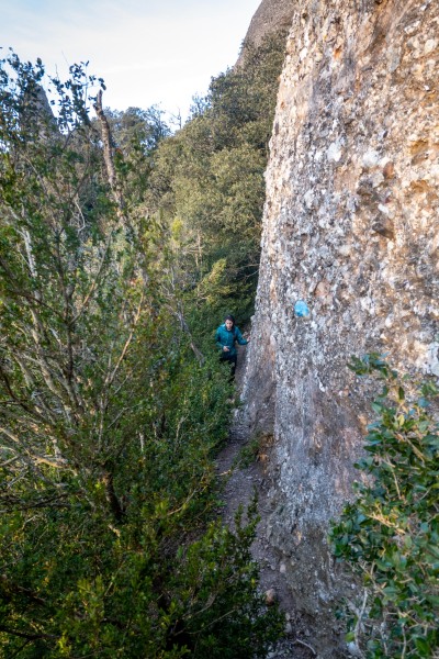 Continuing onwards (Weekend in Montserrat Nov 2023)