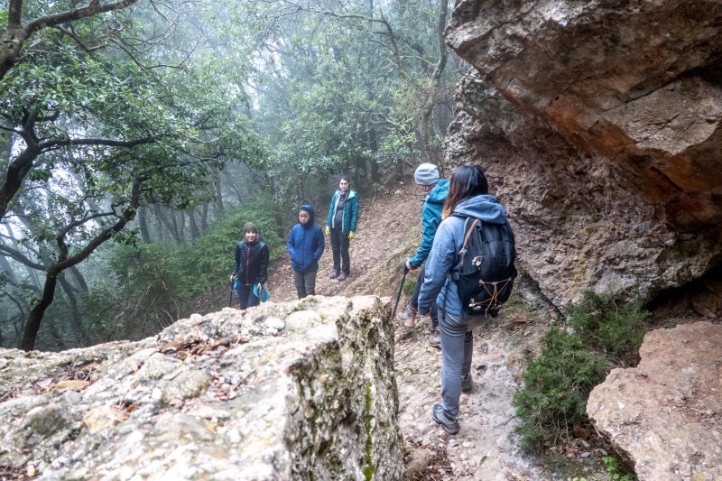 Walking in the mist (Weekend in Montserrat Nov 2023)