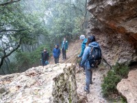 Walking in the mist (Weekend in Montserrat Nov 2023)