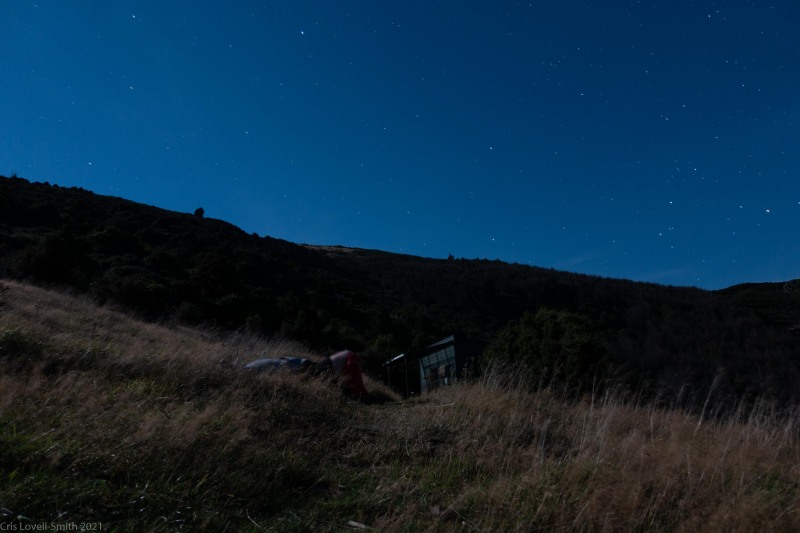 Lying out in the grass (Rod Donald Hut March 2021)