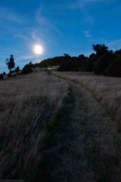 Walking along the ridge (Rod Donald Hut March 2021)