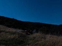 Lying out in the grass (Rod Donald Hut March 2021)