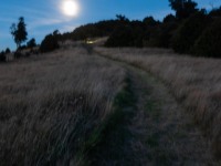 Walking along the ridge (Rod Donald Hut March 2021)