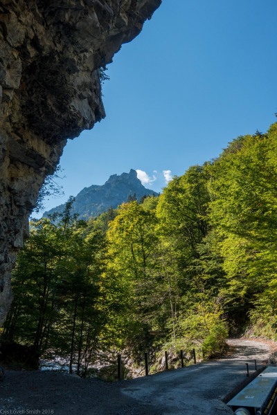 Looking up towards the mountains (Three Sisters 2018)