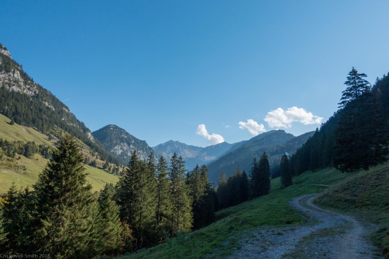 View along the road (Three Sisters 2018)